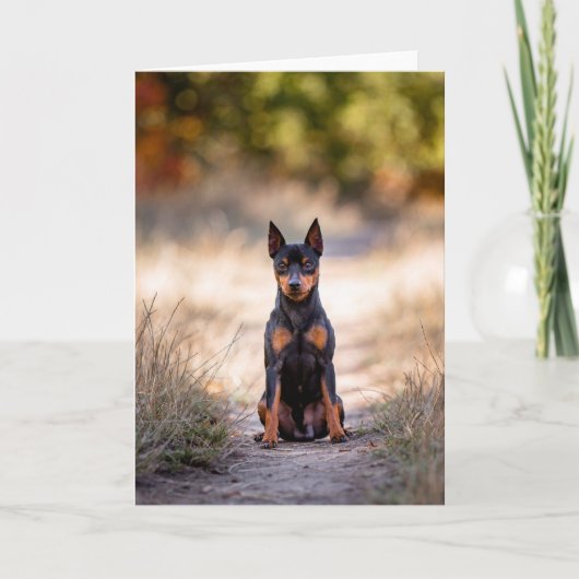 Miniatuur Pinscher Zittend Kaart (Voorkant)