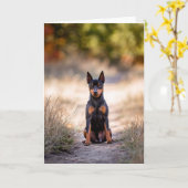 Miniatuur Pinscher Zittend Kaart (Gele Bloem)