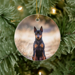 Miniatuur Pinscher Zittend Keramisch Ornament
