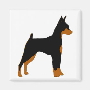 miniatuur pinscher zwart en roestsilhouet magneet
