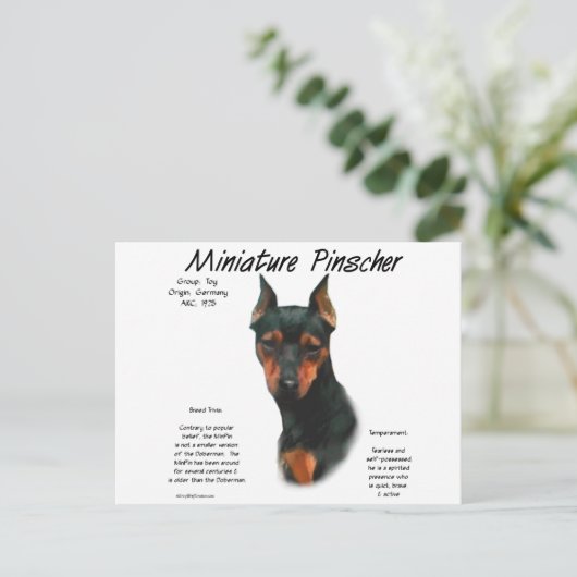 Miniatuur Pinscher (zwart/roest) Geschiedenisontwe Briefkaart (Staand voorkant)