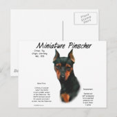 Miniatuur Pinscher (zwart/roest) Geschiedenisontwe Briefkaart (Voorkant / Achterkant)
