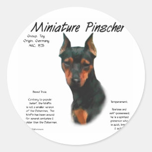 Miniatuur Pinscher (zwart/roest) Geschiedenisontwe Ronde Sticker