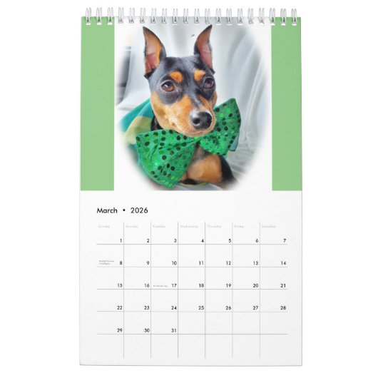 Miniatuur Pinschers Kalender (Mar 2026)