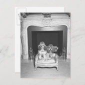 Miniatuur poedels zitten voor de open haard briefkaart (Voorkant / Achterkant)