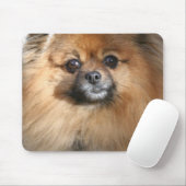 Miniatuur Pommeren-Muismat Muismat (Met muis)