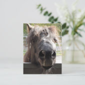 Miniatuur Pony over het Briefkaart van de Omheinin (Staand voorkant)