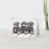 Miniatuur "puppy" Schnauzer Kaart (Voorkant)