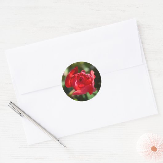 Miniatuur Red Rose Stickers (Envelop)