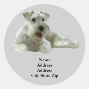 Miniatuur Schnauzer Adreslabel Ronde Sticker