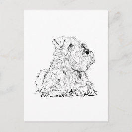 Miniatuur Schnauzer Ansichtkaart – Hondenillustrat Briefkaart