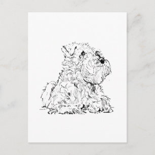 Miniatuur Schnauzer Ansichtkaart – Hondenillustrat Briefkaart