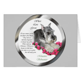 Miniatuur Schnauzer Art Gifts