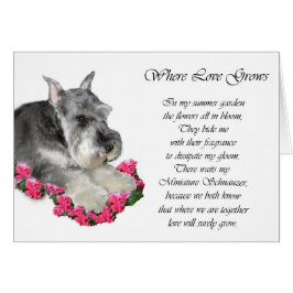 Miniatuur Schnauzer Art Gifts