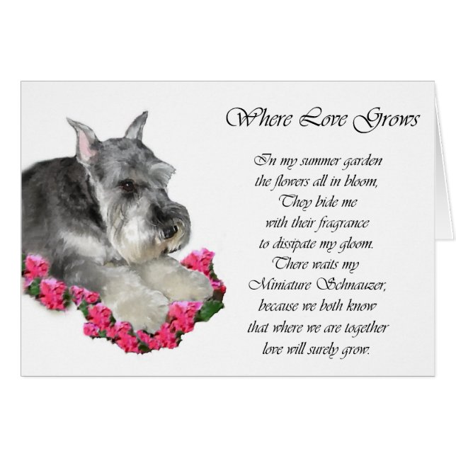 Miniatuur Schnauzer Art Gifts (Voorkant Horizontaal)