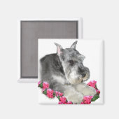 Miniatuur Schnauzer Art Gifts Magneet (Voorkant / Achterkant)