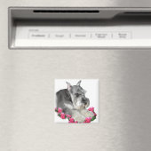 Miniatuur Schnauzer Art Gifts Magneet (Insitu (Vaatwasser))