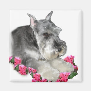 Miniatuur Schnauzer Art Gifts Magneet