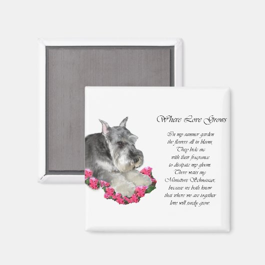 Miniatuur Schnauzer Art Gifts Magneet (Voorkant / Achterkant)