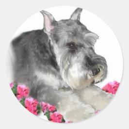 Miniatuur Schnauzer Art Gifts Ronde Sticker