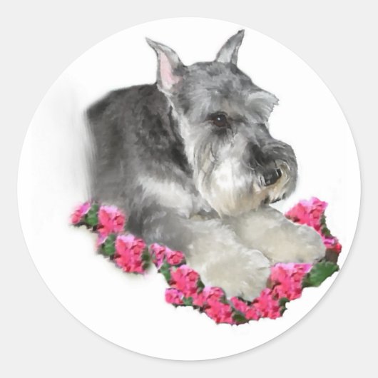 Miniatuur Schnauzer Art Gifts Ronde Sticker (Voorkant)