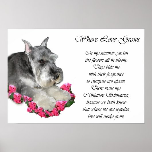 Miniatuur Schnauzer Art Print (Voorkant)