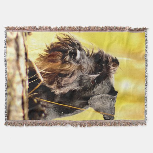 Miniatuur-schnauzer Deken (Voorkant)