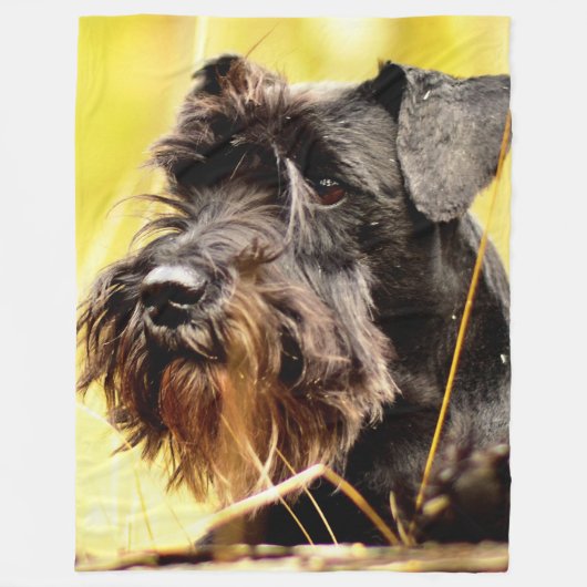 Miniatuur-schnauzer Fleece Deken (Voorkant)