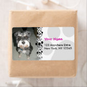 Miniatuur Schnauzer Foto Etiket (Insitu)