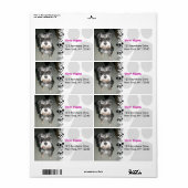 Miniatuur Schnauzer Foto Etiket (Full Sheet)
