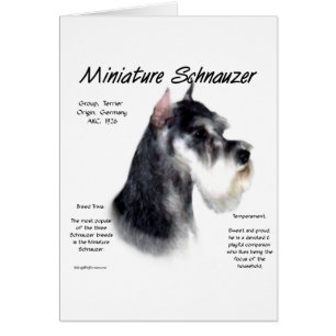 Miniatuur Schnauzer Geschiedenisontwerp
