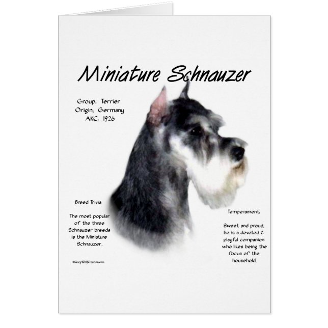Miniatuur Schnauzer Geschiedenisontwerp (Voorkant)