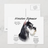 Miniatuur Schnauzer Geschiedenisontwerp Briefkaart (Voorkant / Achterkant)