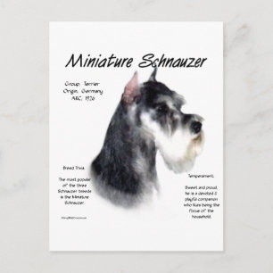 Miniatuur Schnauzer Geschiedenisontwerp Briefkaart