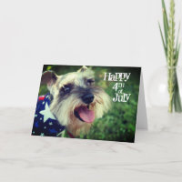 Miniatuur Schnauzer Happy 4 juli