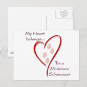 Miniatuur Schnauzer Hart behoort Briefkaart (Voorkant / Achterkant)