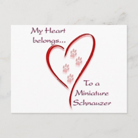 Miniatuur Schnauzer Hart behoort Briefkaart (Voorkant)