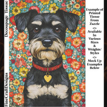Miniatuur Schnauzer Hond, Kleurig EX2 Découpage