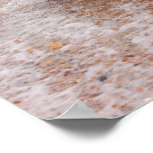 Miniatuur Schnauzer in het Zee Poster (Hoek)