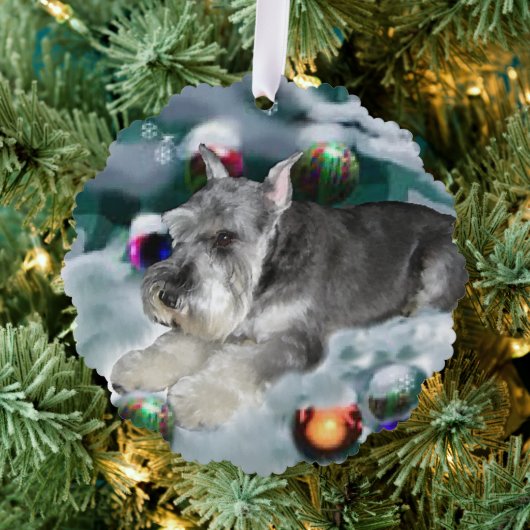 Miniatuur Schnauzer-kerstcadeautjes Ornament Kaart (Insitu (Drie))