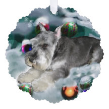 Miniatuur Schnauzer-kerstcadeautjes