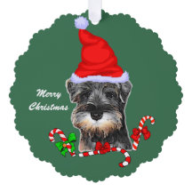 Miniatuur Schnauzer Kerstmis