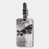 Miniatuur Schnauzer Laat Het Sneeuw Kerstmis Bagagelabel (Voorkant verticaal)