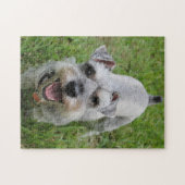 Miniatuur Schnauzer Lachend Legpuzzel (Horizontaal)