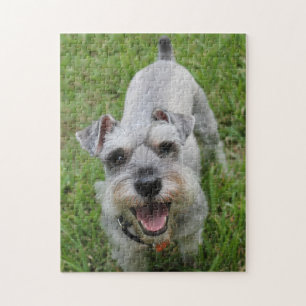 Miniatuur Schnauzer Lachend Legpuzzel