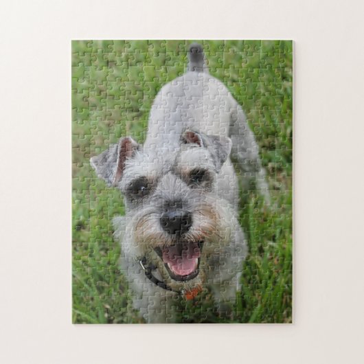 Miniatuur Schnauzer Lachend Legpuzzel (Verticaal)