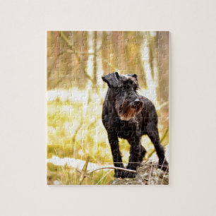 miniatuur-schnauzer legpuzzel