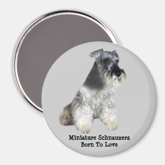 Miniatuur Schnauzer Magneet (Voorkant / Achterkant)
