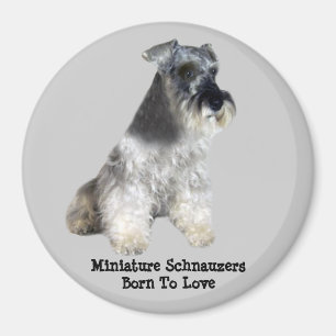 Miniatuur Schnauzer Magneet