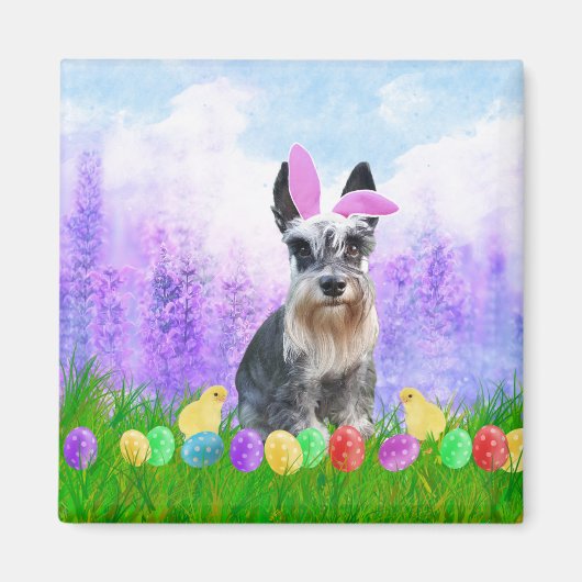 Miniatuur Schnauzer met paaseieren Bunny Chicks Magneet (Voorkant)